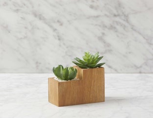 FORET - artificial potted plants 14 cm - Natural