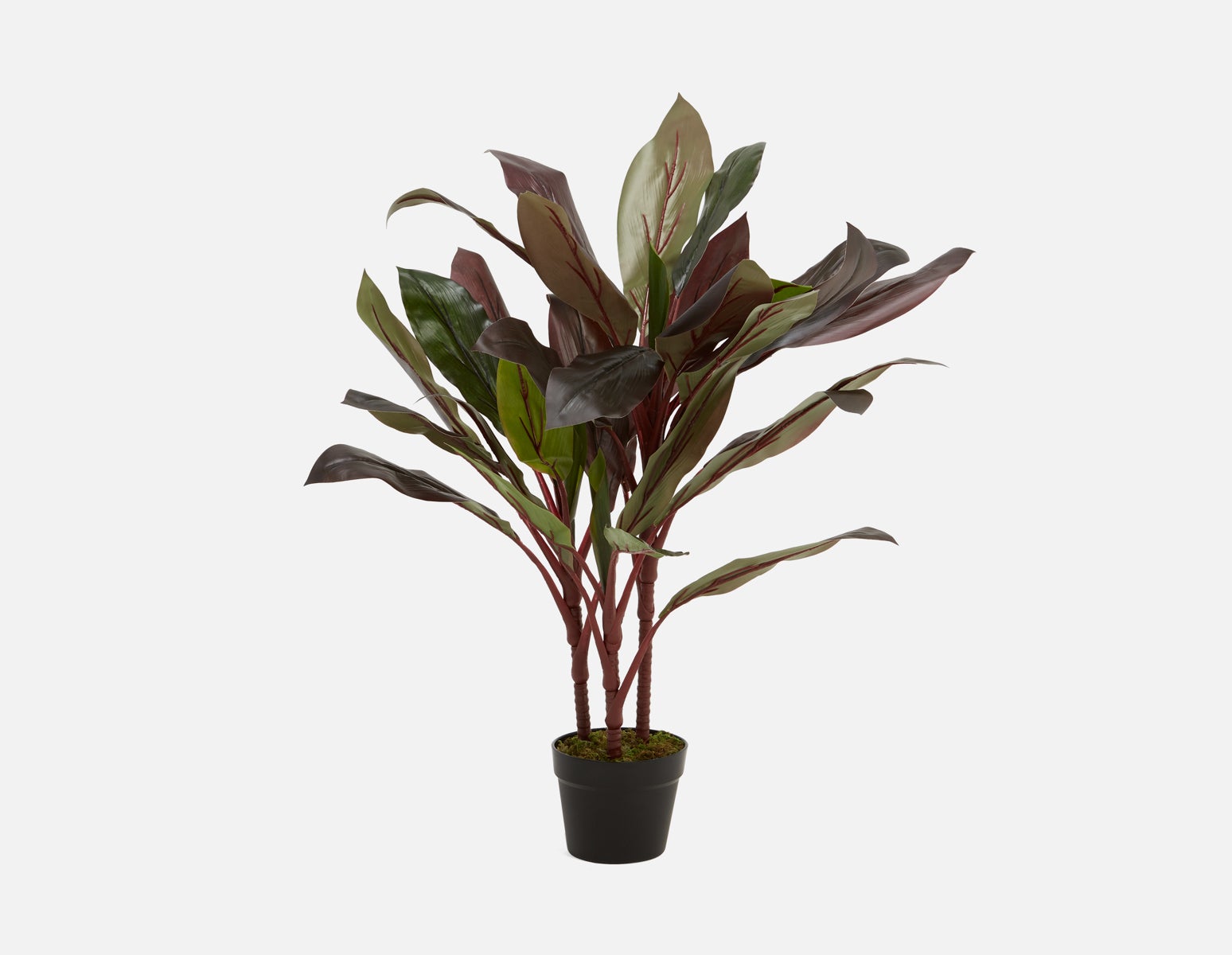 ELM artificial potted plant 90 cm | Structube