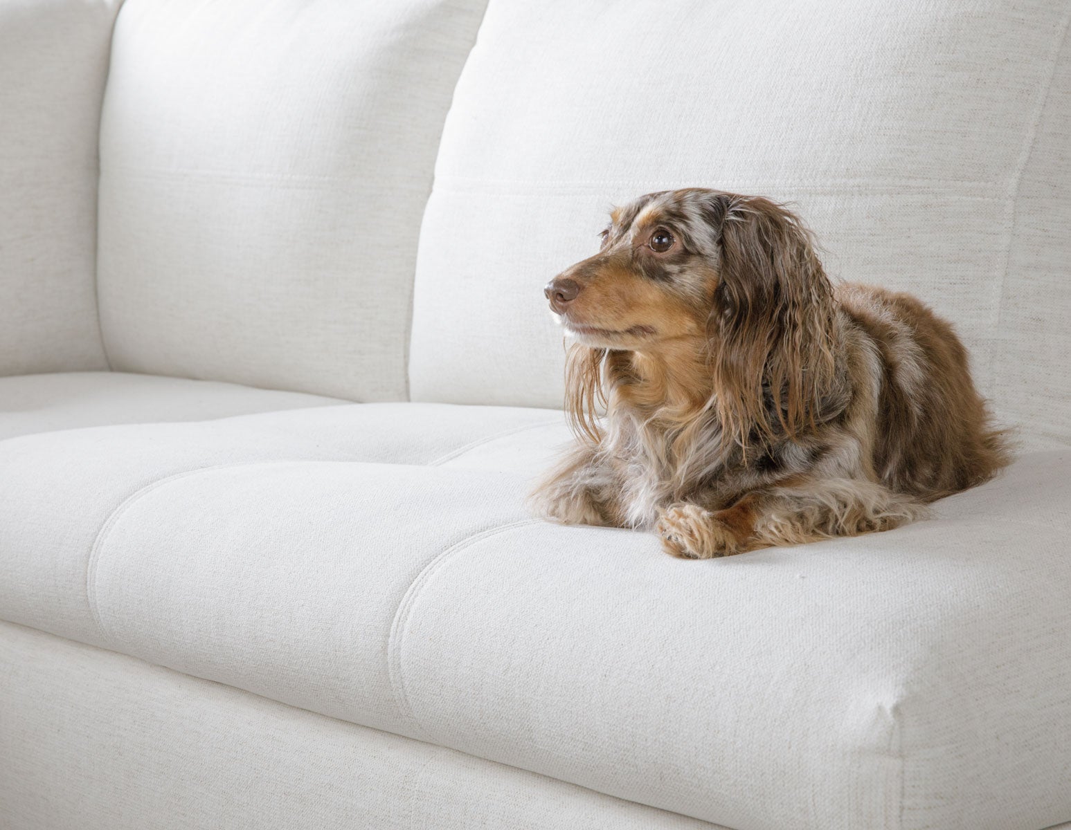 ANDREW right-facing sectional sofa in performance fabric undefined